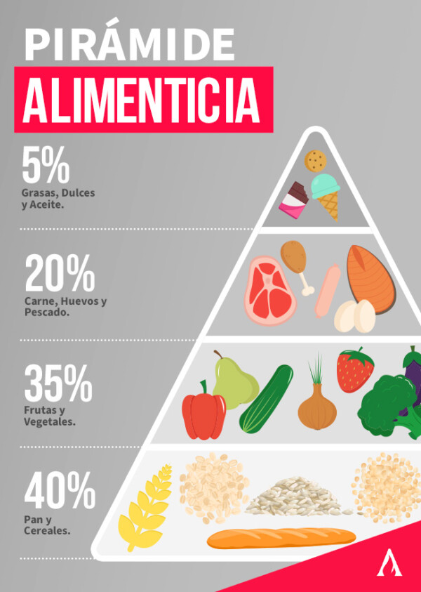 Nutrici N En Las Diferentes Etapas De La Vida Gu A Completa Aprende