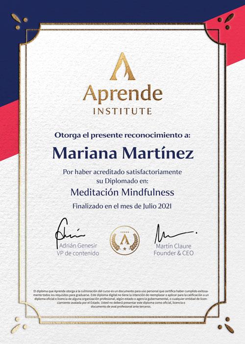 Diploma en Meditacion Mindfulness en Aprende Institute