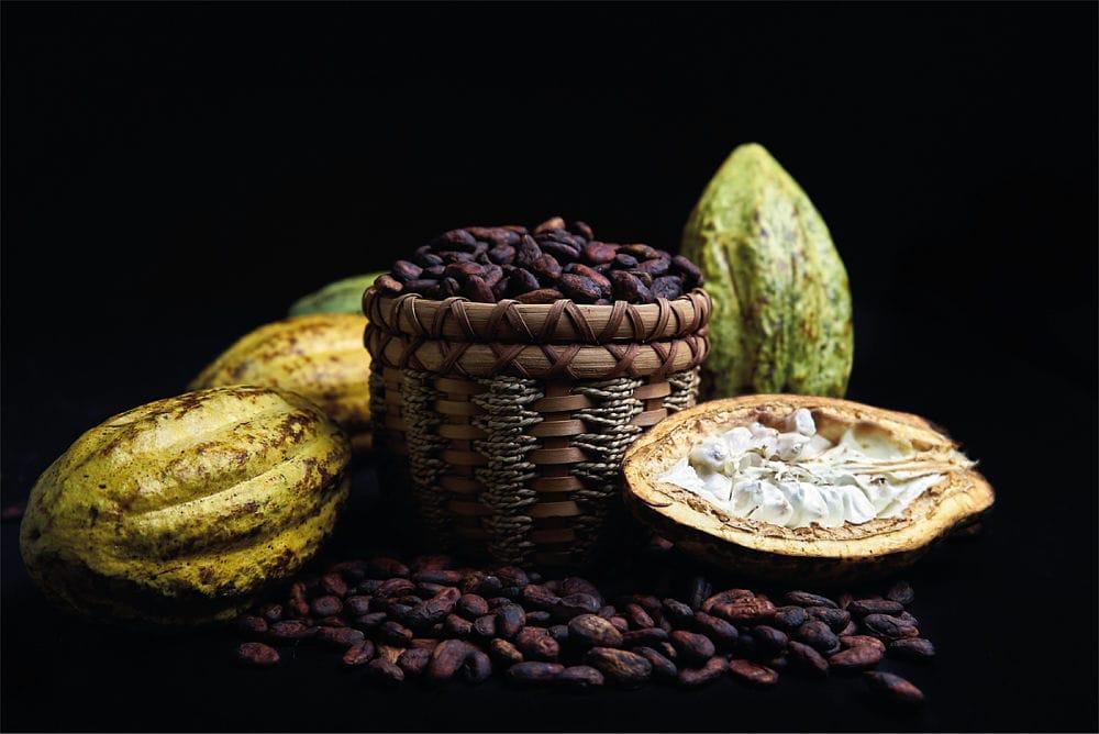 superalimentos-cacao