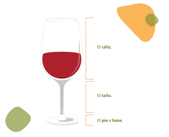 Ilustración con las características y nombres de las partes de una copa de vino
