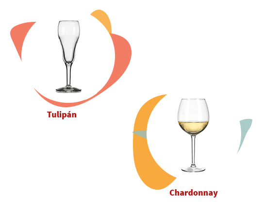 Ilustración de las dos tipos de copas paravino blanco