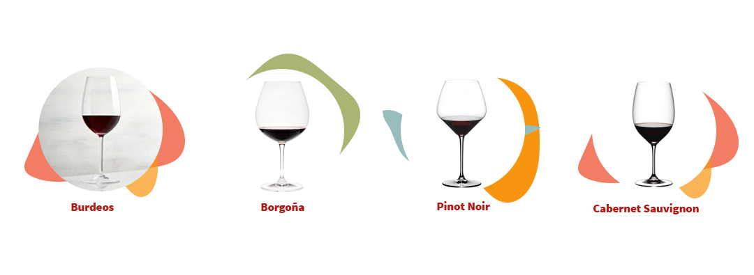 Ilustración de cuatro tipos de copas para vino tinto