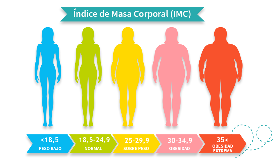 esquema representativo del indice de masa corporal de una persona