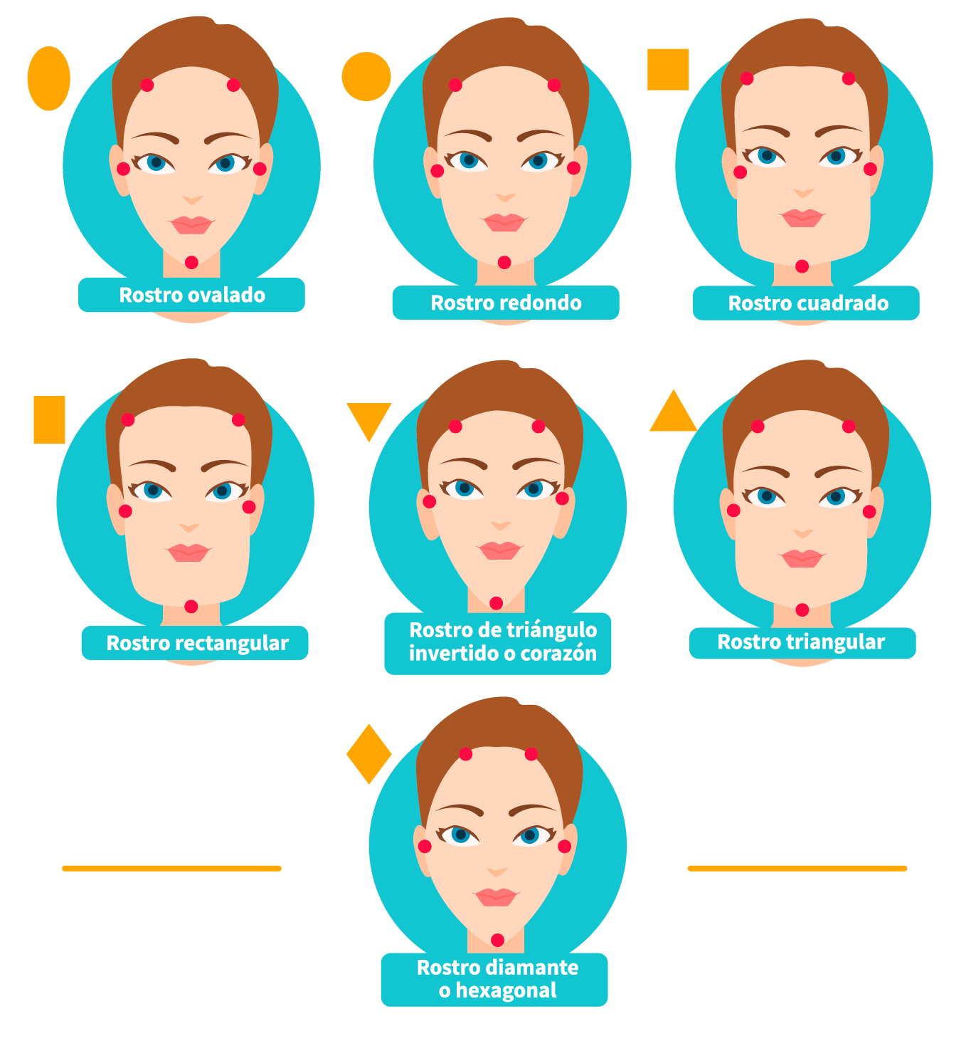 ilustracion de los diferentes tipos de rostro de una persona