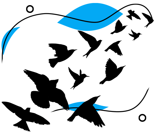 Ilustración de pájaros volando