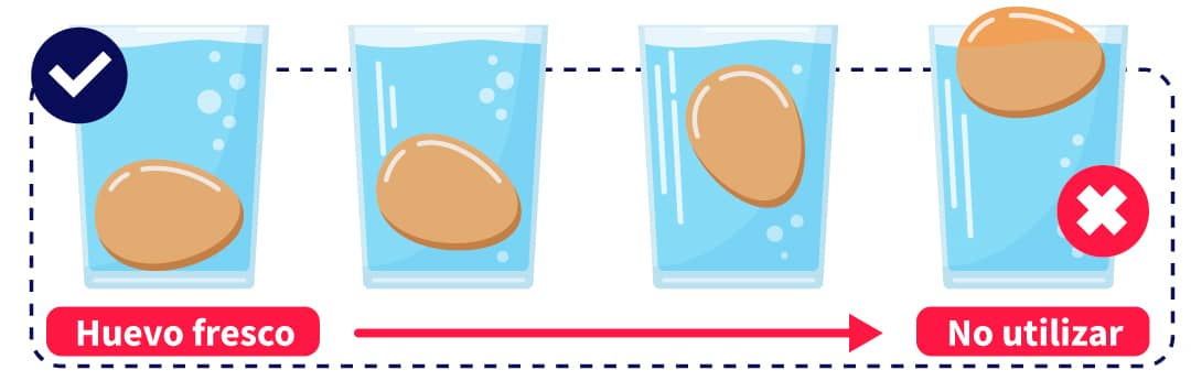 esquema huevos en vasos de agua