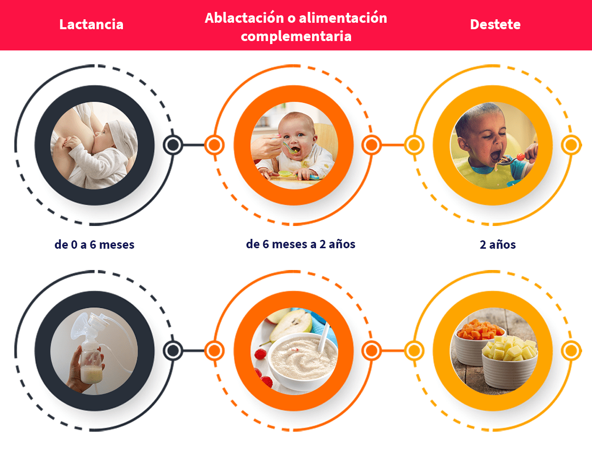 la nutricion adecuada en el crecimiento de tu bebe es clave para garantizar su salud y bienestar fisico y mental