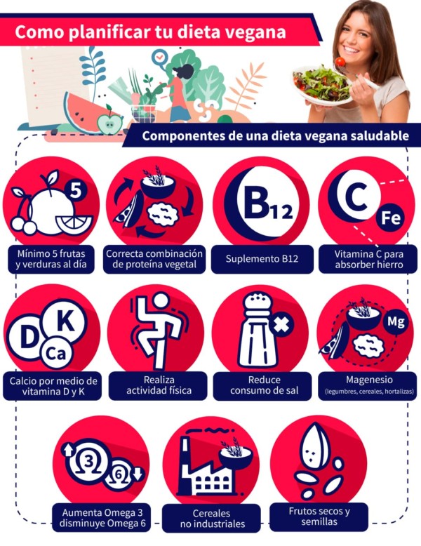 Aprende Cómo Planear Una Dieta Vegana Aprende Institute 6983