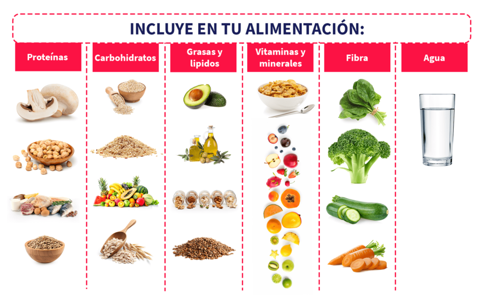tabla de nutrientes que debes incluir en una alimentacion diaria