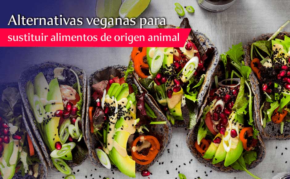 Alternativas para sustituir alimentos de origen animal