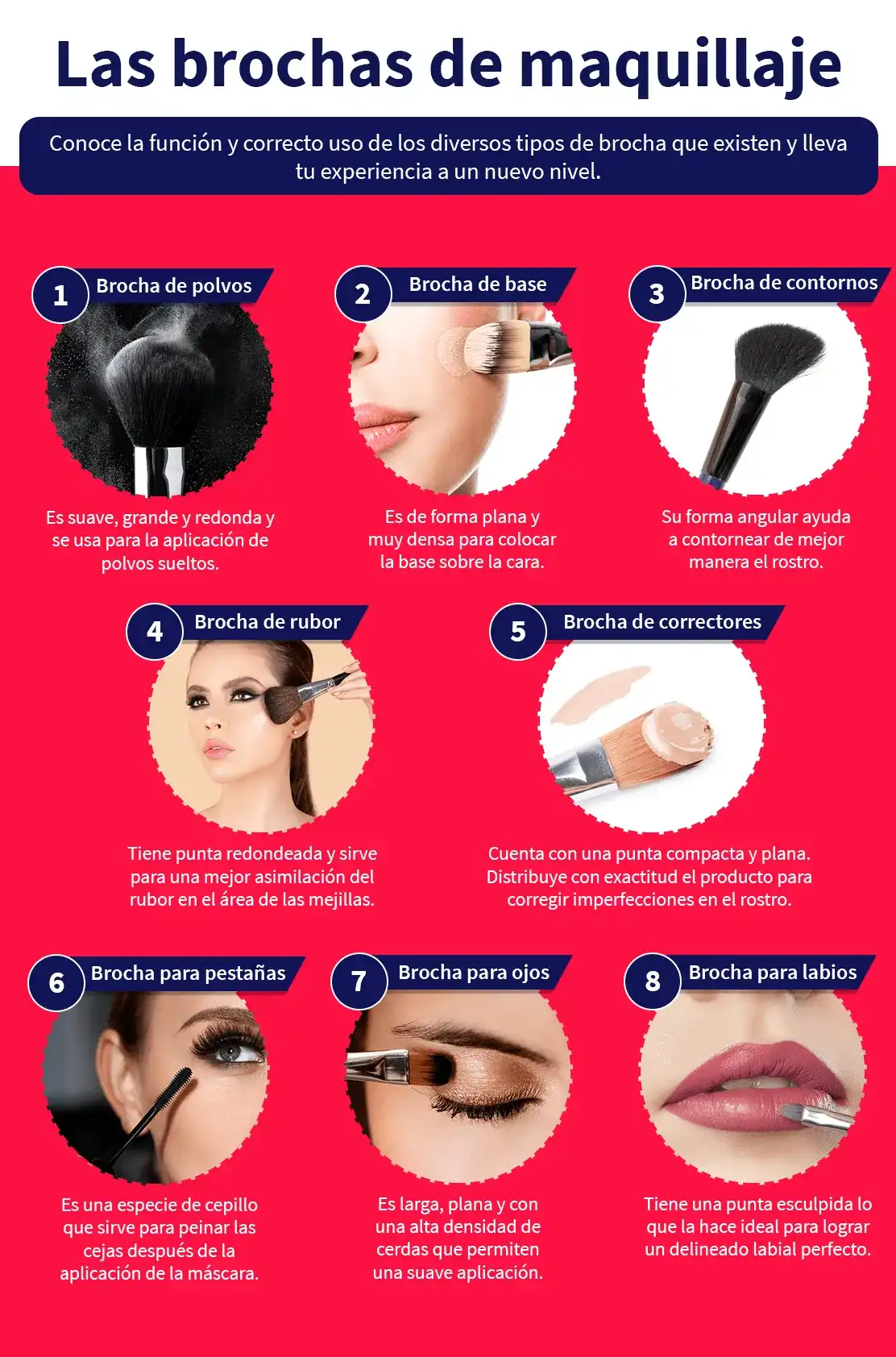 tutorial con imagenes para usar las brochas de maquillaje