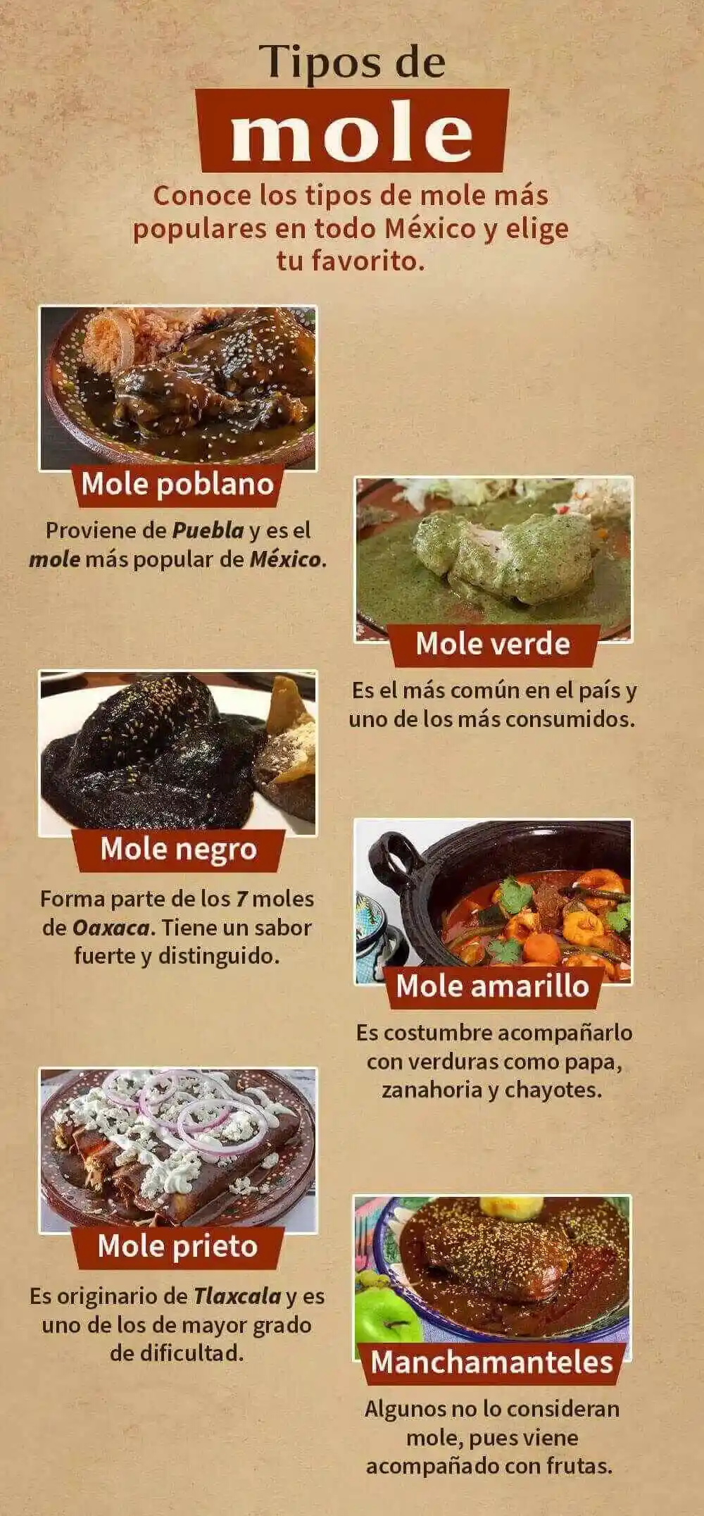 infografia de tipos de mole