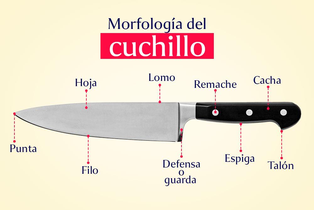 morfologia-del-cuchillo