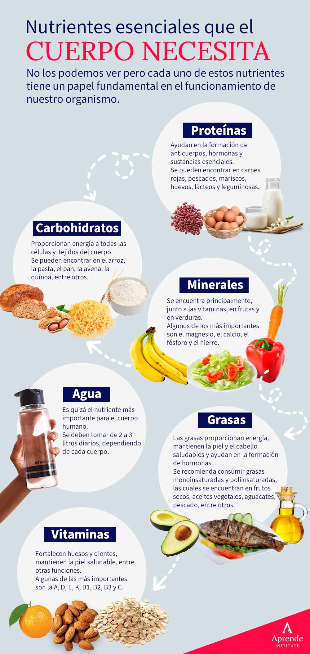 Tipos de nutrientes: por qué y cuáles | Aprende Institute