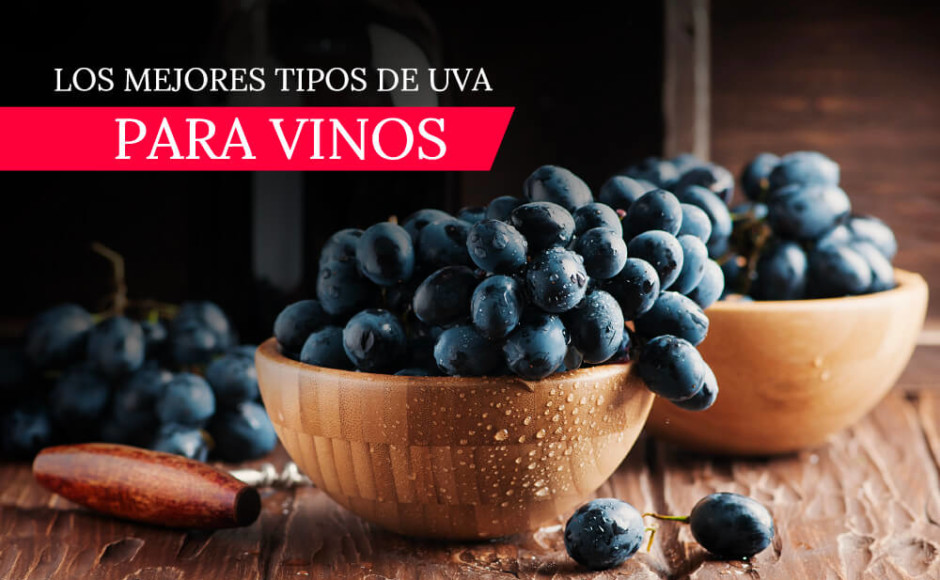 Los mejores tipos de uva para vinos