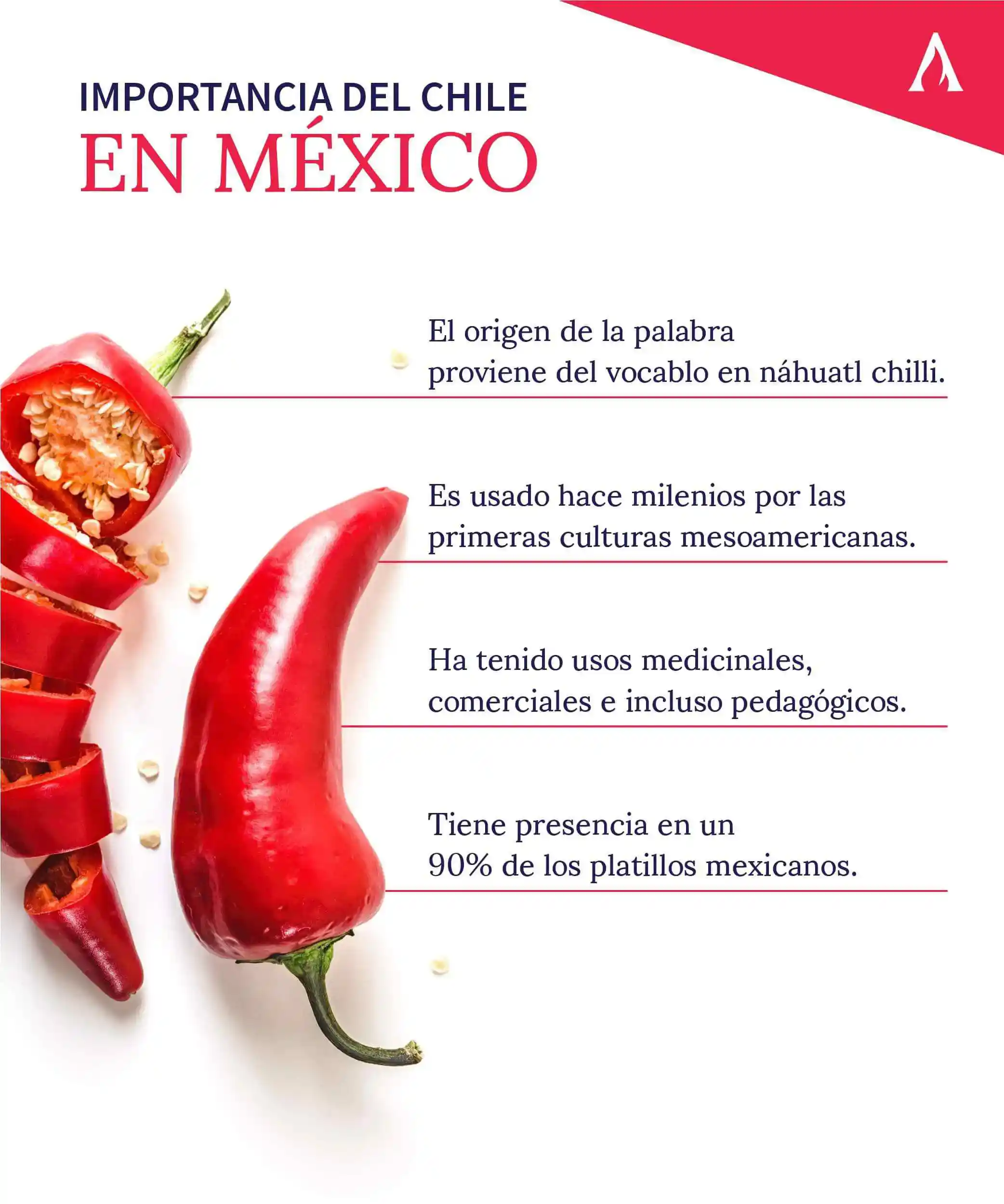 infografia de importancia del chile en mexico