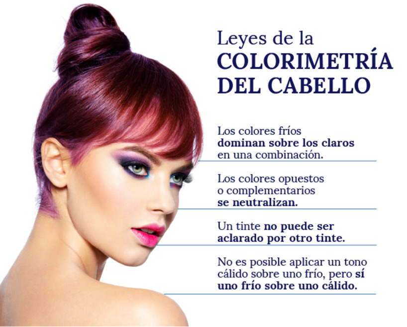 infografia de colorimetria de cabello