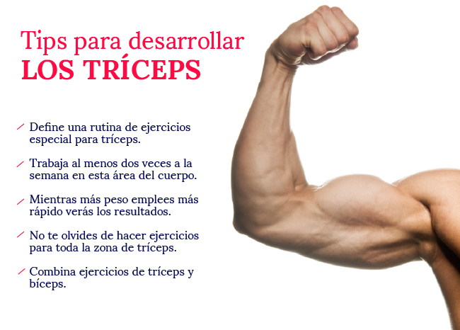 tips-para-desarrollar-los-triceps