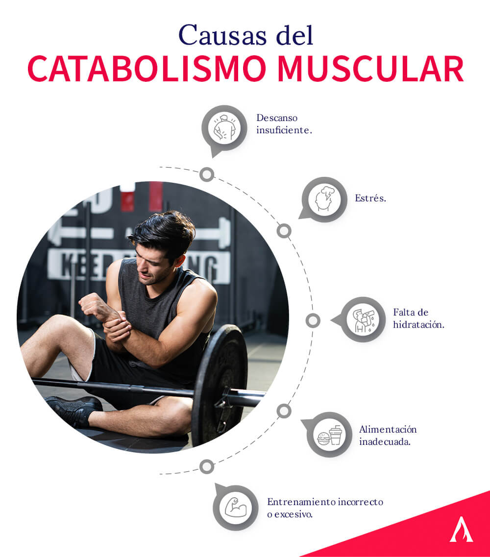causas-del-catabolismo-muscular