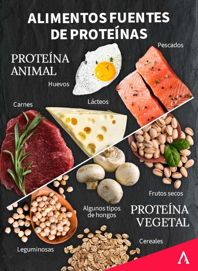 alimentos-fuentes-de-proteinas