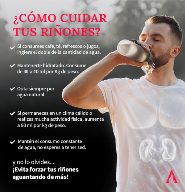 ¿Qué alimentos son buenos para los riñones? | Aprende Institute