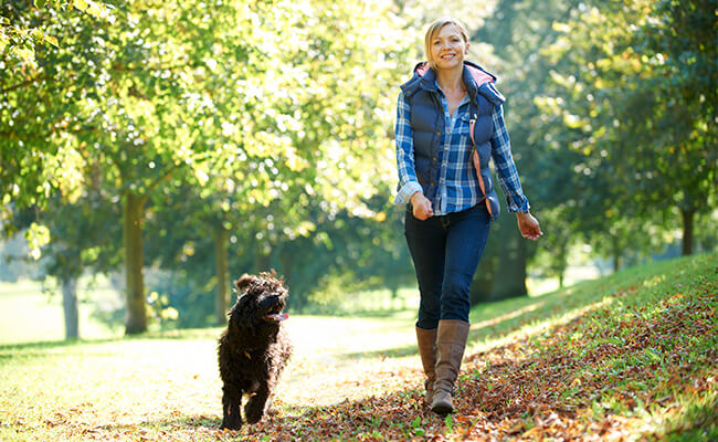 5-beneficios-de-enseñarle-a-tu-perro-a-pasear-sin-correa