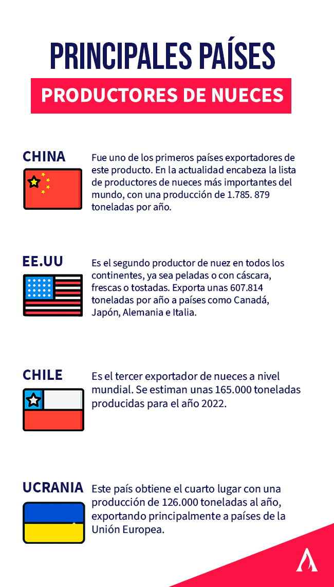 infografia sobre los principales paises exportadores de nueces