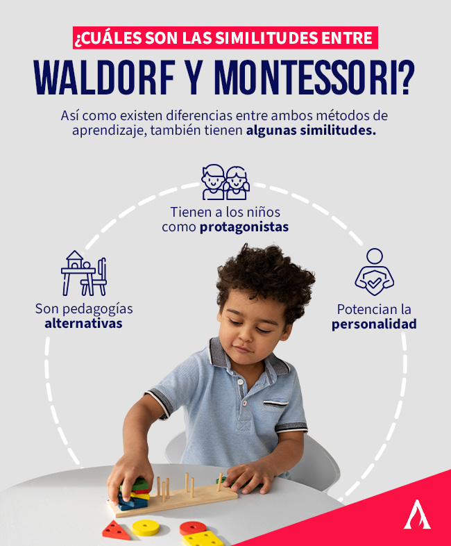 infografia sobre las ventajas y diferencias entre la educación waldorf y montessori