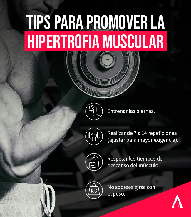 consejos para promover la hipertrofia muscular