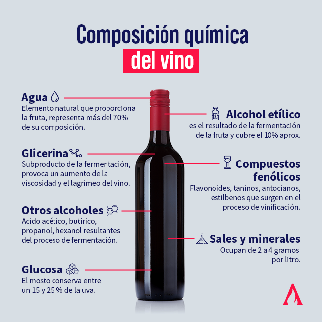 infografia sobre la composicion quimica del vino