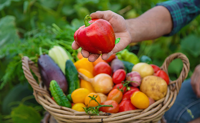 cesta repleta de frutas y verduras orgánicas y coloridas
