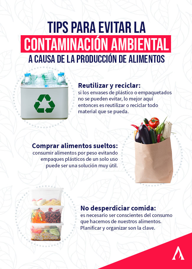 infografia sobre la contaminacion ambiental de los alimentos