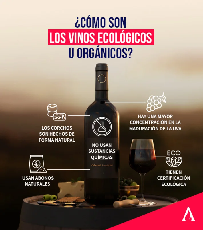 infografia sobre las ventajas de los vinos orgánicos