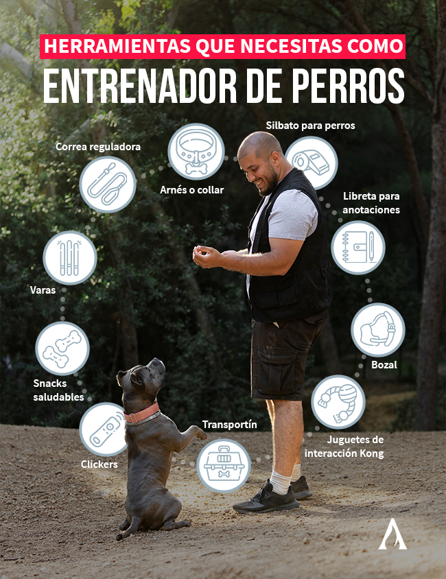 herramientas indispensables para un entrenador de perros