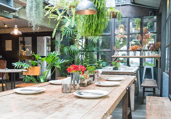 Cafetería decorada con plantas estilo veggie