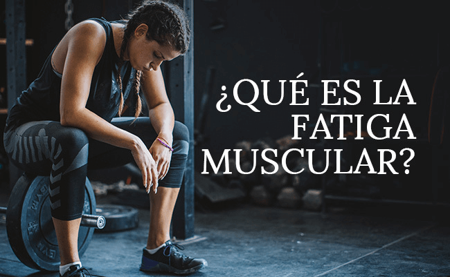 ¿Qué es la fatiga muscular?
