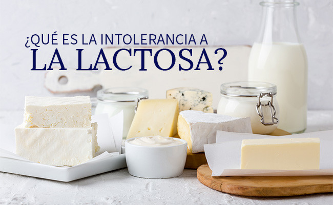  ¿Qué es la intolerancia a la lactosa?